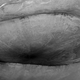 Image for article titled This is HiRISE, the most powerful camera we've ever sent to another planet